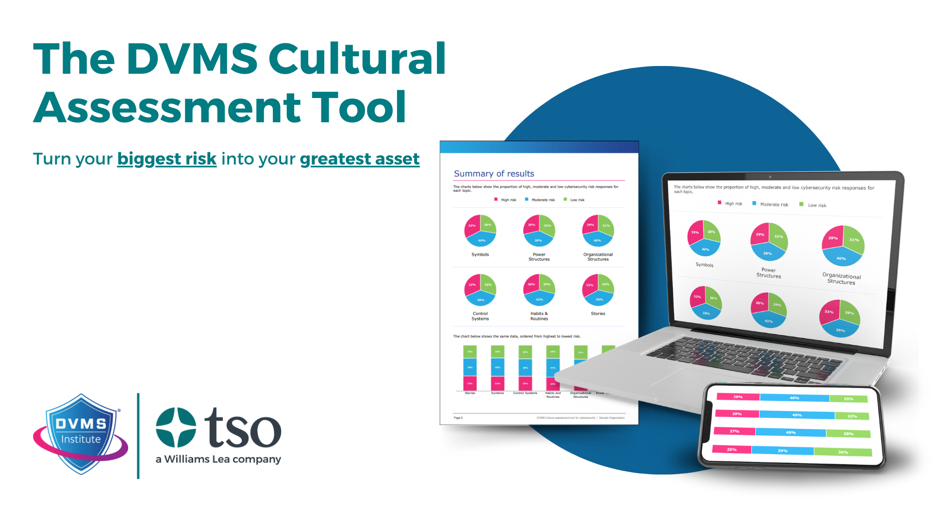 DVMS Culture Assessment Tool